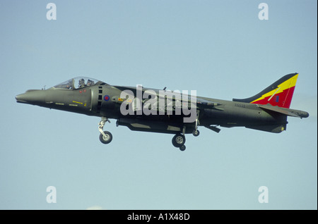 BAe Harrier GR7 V/STOL strike aircraft on exercise in Scotland.  GAV 1073-36 Stock Photo