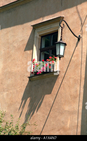 Flowers on a outside window ledge of a stone built garage Stock Photo ...
