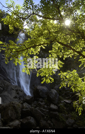 Aber Falls, Abergwyngregn, North Wales Stock Photo