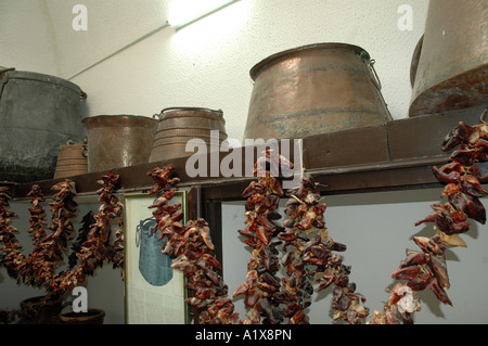 Tuzar hi-res stock photography and images - Alamy