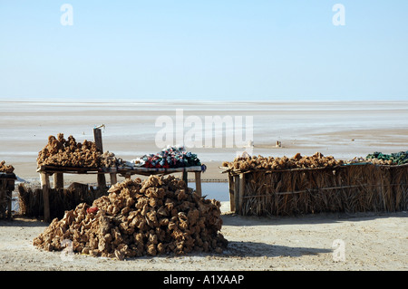 Souvenirs stall with desert roses on the roadside of causeway crossing Chott el Jerid lake in Tunisia Stock Photo