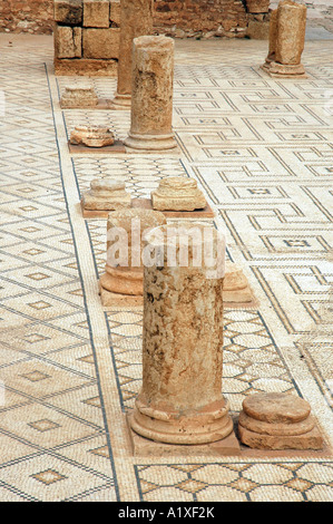 Mosaic in Roman bath ruins in ancient Sufetula, today known as Sbeitla, Tunisia Stock Photo