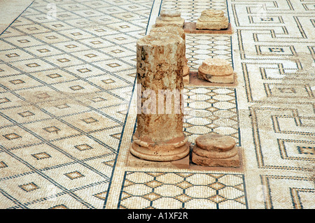 Mosaic in Roman bath ruins in ancient Sufetula, today known as Sbeitla, Tunisia Stock Photo