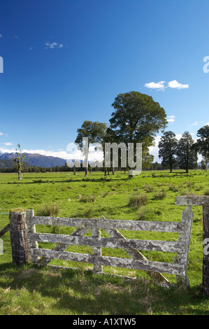 Gate and Farmland near Fox Glacier West Coast South Island New Zealand Stock Photo