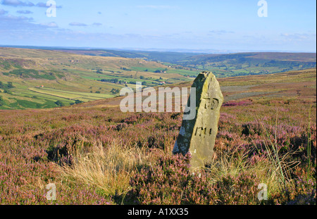 North York Moors National Park UK Boundary stone on Blakey ridge Stock Photo