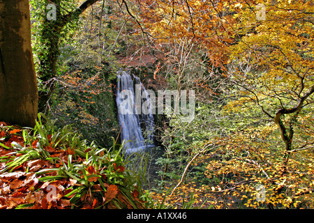 North York Moors National Park UK Falling Foss waterfall in Autumn Stock Photo