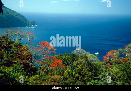 Pirates Bay bei Charlotteville Tobago West Indies Karibik Stock Photo