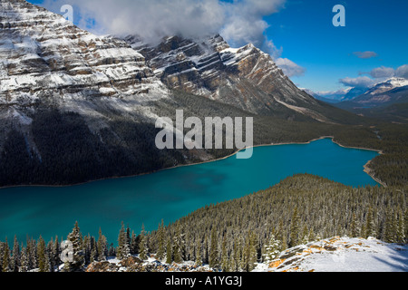 Peyto Lake, along the Icefields Parkway in Banff National Park, Canadian Rockies Stock Photo