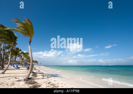Bavaro Beach outside Natura Park Hotel, Bavaro, Punta Cana, Dominican  Republic Stock Photo - Alamy