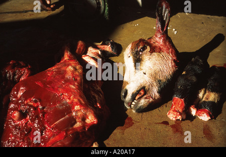 Goat and goat meat in market in Beira Mozambique Stock Photo