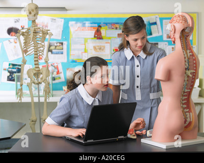 Two high school students looking at anatomical model in biology classroom Stock Photo