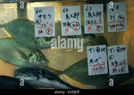 Fresh fish on sale at a stall in Tsukiji fish market, the worlds largest daily fish market, Tokyo, Japan Stock Photo