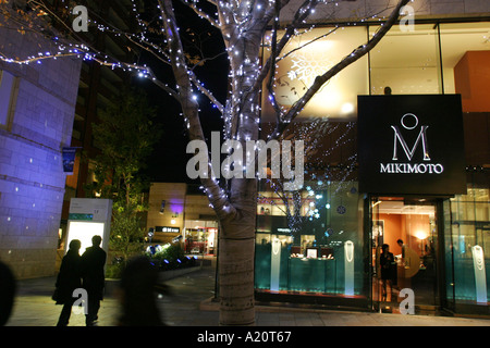 The richly illuminated Keyakizaka Street in Roppongi Hills, Tokyo, Japan. Stock Photo