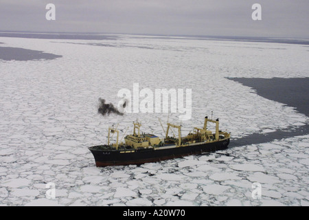 Japanese whaling fleet kill Antarctic minke whales in the Southern Ocean, Antarctica Stock Photo