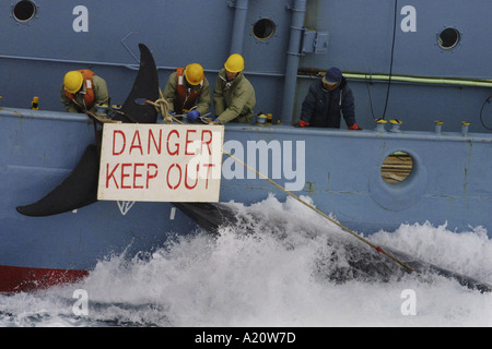 Japanese whaling fleet kill Antarctic minke whales in the Southern Ocean, Antarctica Stock Photo