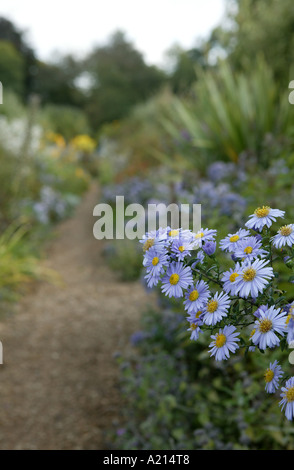 General garden scence with path running through the middle allowing space for text in the top left corner and lillac flowers Stock Photo