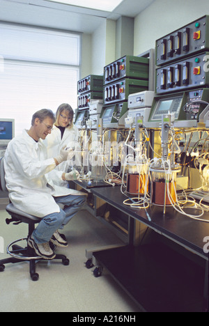 Model released man woman technicians working in bio engineering laboratory Stock Photo