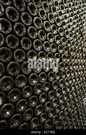 Lying down, arranged bottles of wine, bottom visible Stock Photo