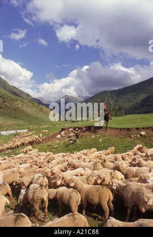 Shepherd on horse with a dog and flock of sheep post Dzhety Oguz near Kara Kol in Kyrgyzstan Central Asia J Strachan Stock Photo