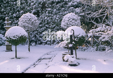 Path between clipped topiary trees in snowy winter garden Stock Photo