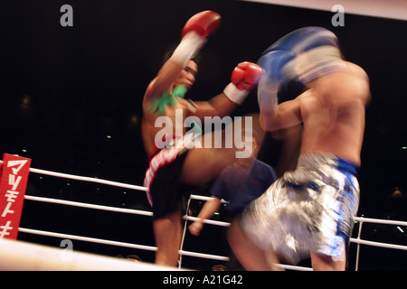 K-1 kick boxing fighters in the heat of a round, K1 tournament, Tokyo, Japan. Asia. Stock Photo