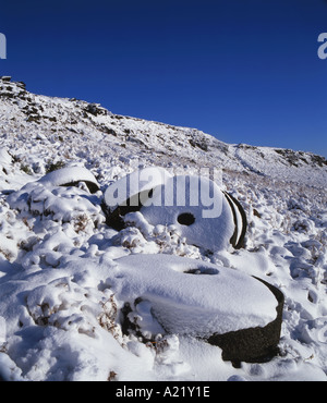 Abandoned Millstones beneath Stanage Edge Peak District National Park Derbyshire Stock Photo