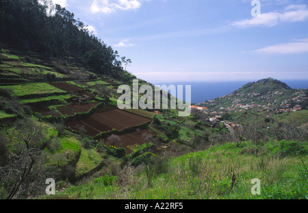 The cultivated terraces of the interior of Madeira in Spring Stock Photo