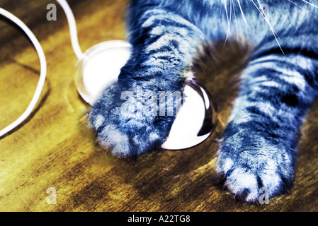 Cat And Mouse Stock Photo