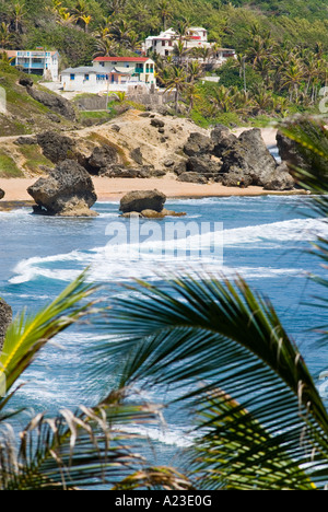 Houses on Hill Overlooking Bathsheba Bay, Barbados Stock Photo