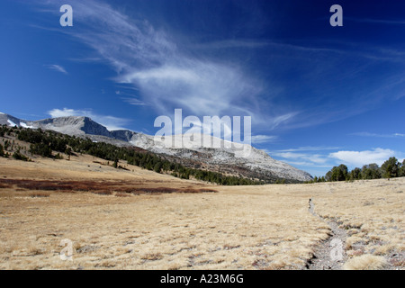 Cirrus clouds and forest, near Tioga Pass in Yosemite National Park. Stock Photo