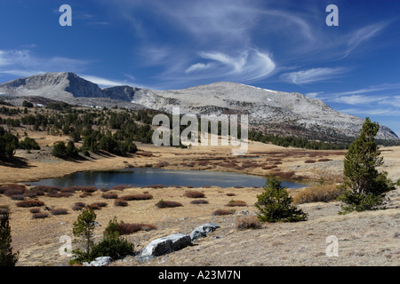Cirrus clouds and forest, near Tioga Pass in Yosemite National Park. Stock Photo