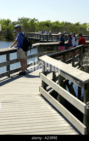 Wooden walkway anhinga trail everglades state national park florida usa Stock Photo