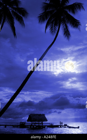 Pigeon Pooint Tobago Caribbean in moonlight Stock Photo