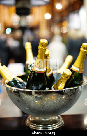 Champagne bottles in a bucket on ice in a cooler Stock Photo