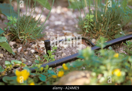 Transitional Watering Point Automatic watering point Stock Photo - Alamy