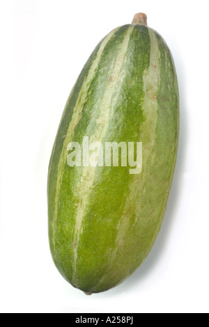 tindora small indian cucumber Stock Photo