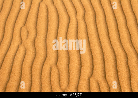 Soft evening light on regular pattern on beach sand Stock Photo