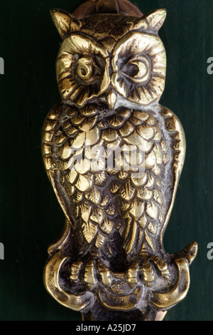 Owl Brass Door Knocker