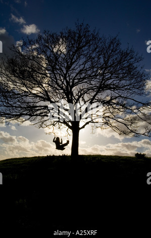 Swing attached to tree on Burrow Hill above orchard of the Somerset Cider Brandy Company Kingsbury Episcopi Somerset England Stock Photo