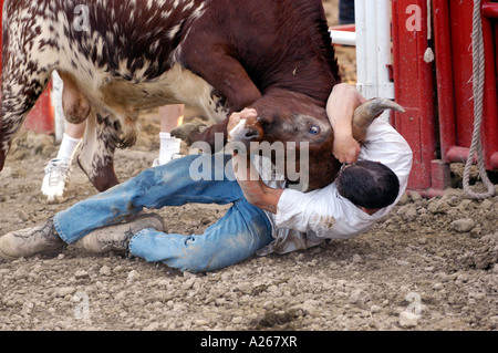Cowboys compete in Rodeo action Stock Photo