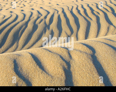 Detail of a Sand Dune Stock Photo