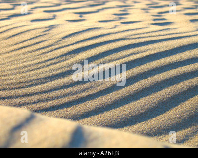 Detail Sand Dune Beach Closeup Close Up Detail Stock Photo