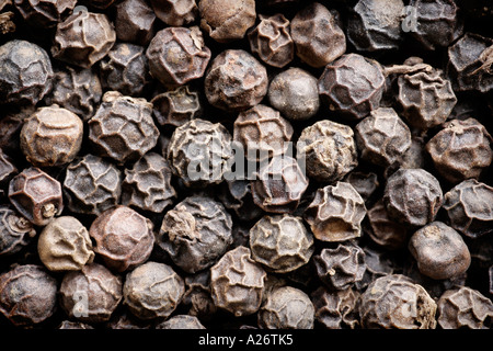 Close Up of Black Peppercorns Stock Photo