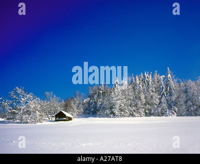 winter wonderland after snowfall Bavarian Forest, Bavaria, Germany.  Photo by Willy Matheisl Stock Photo