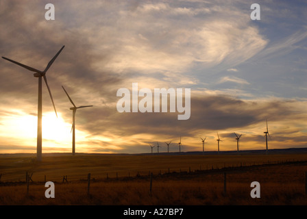 Windturbines on a praire ridge near the foothills of southern Alberta at sunrise with a few clouds and light wind Canada Stock Photo
