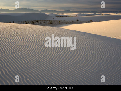 Beautiful wind sculpted white gypsum dunes in the White Sands National Monument Stock Photo