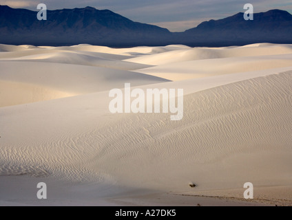 Beautiful wind sculpted white gypsum dunes in the White Sands National Monument Early morning Stock Photo