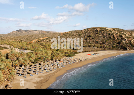 Vai palm beach, endemic palm Phoenix theophrasti, eastern Crete, Greece Stock Photo