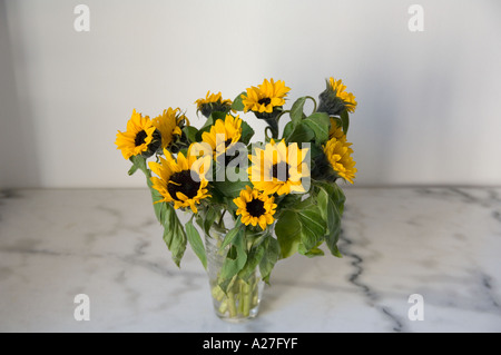A bunch of sunflowers in a glass of water on a marble table Stock Photo