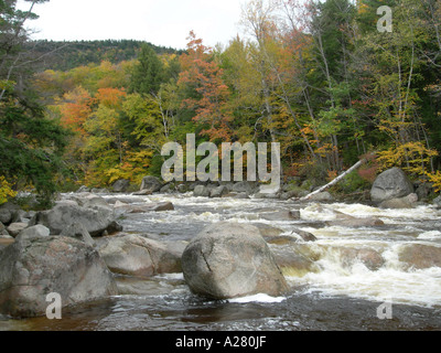 The Flowing Swift River in the White Mountains with Woodland New Hampshire USA Stock Photo
